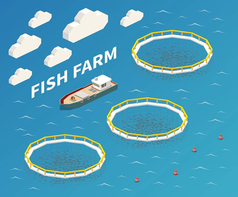 fish farm image